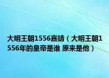 大明王朝1556嘉靖（大明王朝1556年的皇帝是谁 原来是他）