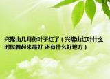 兴隆山几月份叶子红了（兴隆山红叶什么时候看起来最好 还有什么好地方）