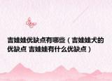 吉娃娃优缺点有哪些（吉娃娃犬的优缺点 吉娃娃有什么优缺点）