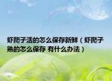 虾爬子活的怎么保存新鲜（虾爬子熟的怎么保存 有什么办法）