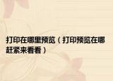 打印在哪里预览（打印预览在哪 赶紧来看看）