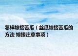 怎样嫁接苦瓜（丝瓜嫁接苦瓜的方法 嫁接注意事项）
