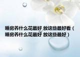 睡房养什么花最好 放这些最好看（睡房养什么花最好 放这些最好）
