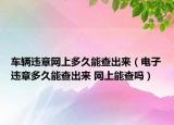 车辆违章网上多久能查出来（电子违章多久能查出来 网上能查吗）