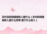 支付宝机构提现收入是什么（支付机构提现收入是什么意思 属于什么收入）
