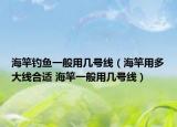海竿钓鱼一般用几号线（海竿用多大线合适 海竿一般用几号线）