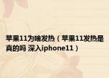 苹果11为啥发热（苹果11发热是真的吗 深入iphone11）