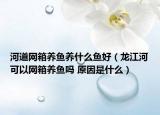 河道网箱养鱼养什么鱼好（龙江河可以网箱养鱼吗 原因是什么）