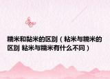 糯米和黏米的区别（粘米与糯米的区别 粘米与糯米有什么不同）