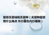 翡翠芙蓉绿和芙蓉种（芙蓉种翡翠有什么特点 外行看色内行看种）