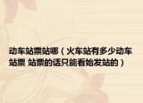 动车站票站哪（火车站有多少动车站票 站票的话只能看始发站的）