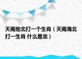 天南地北打一个生肖（天南海北打一生肖 什么是龙）