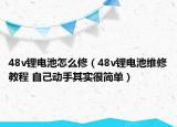 48v锂电池怎么修（48v锂电池维修教程 自己动手其实很简单）