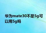 华为mate30不是5g可以用5g吗