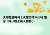 沃柑有没有刺（沃柑怎样不长刺 如何干掉沃柑上烦人的刺）