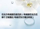 在远方电视剧百度百科（电视剧在远方在哪个卫视播出 电视在远方播出时间）