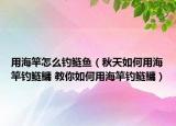 用海竿怎么钓鲢鱼（秋天如何用海竿钓鲢鳙 教你如何用海竿钓鲢鳙）