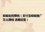 蜻蜓如何赚钱（支付宝蜻蜓推广怎么赚钱 请看回答）