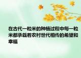 在古代一粒米的种植过程中每一粒米都承载着农村世代相传的希望和幸福