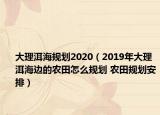 大理洱海规划2020（2019年大理洱海边的农田怎么规划 农田规划安排）