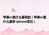 苹果xr是什么基带的（苹果xr是什么基带 iphone常识）