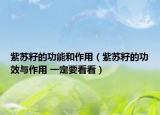 紫苏籽的功能和作用（紫苏籽的功效与作用 一定要看看）