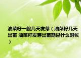 油菜籽一般几天发芽（油菜籽几天出苖 油菜籽发芽出苗期是什么时候）