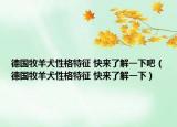 德国牧羊犬性格特征 快来了解一下吧（德国牧羊犬性格特征 快来了解一下）