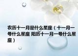 农历十一月是什么星座（十一月一号什么星座 阳历十一月一号什么星座）