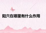 阳穴在哪里有什么作用