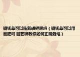 铜钱草可以施氮磷钾肥吗（铜钱草可以用氮肥吗 园艺师教你如何正确栽培）