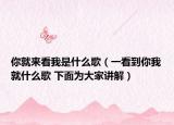 你就来看我是什么歌（一看到你我就什么歌 下面为大家讲解）