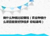做什么种植比较赚钱（农业种植什么项目前景好挣钱多 你知道吗）