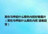 黑色马甲配什么颜色内搭好看图片（黑色马甲配什么颜色内搭 请看回答）