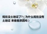 现在没土地证了?（为什么现在没有土地证 来看看原因吗）