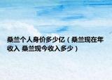 桑兰个人身价多少亿（桑兰现在年收入 桑兰现今收入多少）