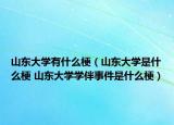 山东大学有什么梗（山东大学是什么梗 山东大学学伴事件是什么梗）
