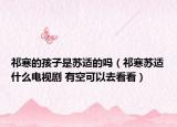 祁寒的孩子是苏适的吗（祁寒苏适什么电视剧 有空可以去看看）