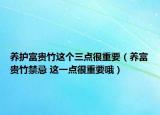 养护富贵竹这个三点很重要（养富贵竹禁忌 这一点很重要哦）