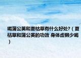 喝蒲公英和夏枯草有什么好处?（夏枯草和蒲公英的功效 身体虚弱少喝）