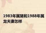 1983年属猪和1988年属龙夫妻怎样