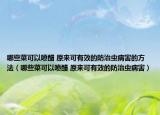 哪些菜可以喷醋 原来可有效的防治虫病害的方法（哪些菜可以喷醋 原来可有效的防治虫病害）