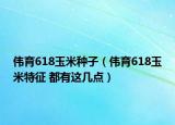 伟育618玉米种子（伟育618玉米特征 都有这几点）