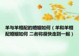 羊与羊相配的婚姻如何（羊和羊相配婚姻如何 二者将很快走到一起）