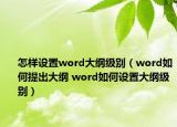 怎样设置word大纲级别（word如何提出大纲 word如何设置大纲级别）