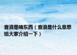 音浪是啥东西（音浪是什么意思 给大家介绍一下）