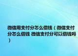 微信用支付分怎么借钱（微信支付分怎么借钱 微信支付分可以借钱吗）