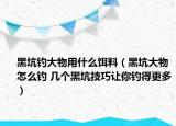 黑坑钓大物用什么饵料（黑坑大物怎么钓 几个黑坑技巧让你钓得更多）