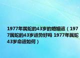 1977年属蛇的43岁的婚姻运（1977属蛇的43岁运势好吗 1977年属蛇43岁命运如何）