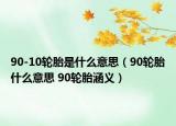 90-10轮胎是什么意思（90轮胎什么意思 90轮胎涵义）